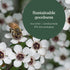 Manuka Honey UMF 5+ (MGO 83+) - 10 grams
