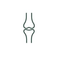 Joint Health